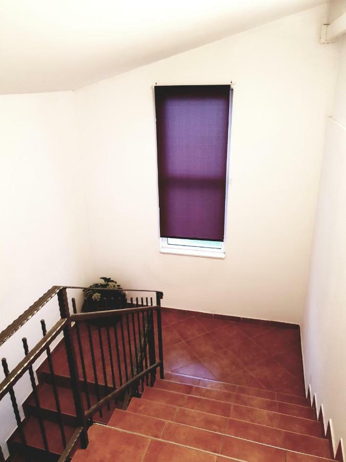 פירובאץ Apartments Petrovic מראה חיצוני תמונה